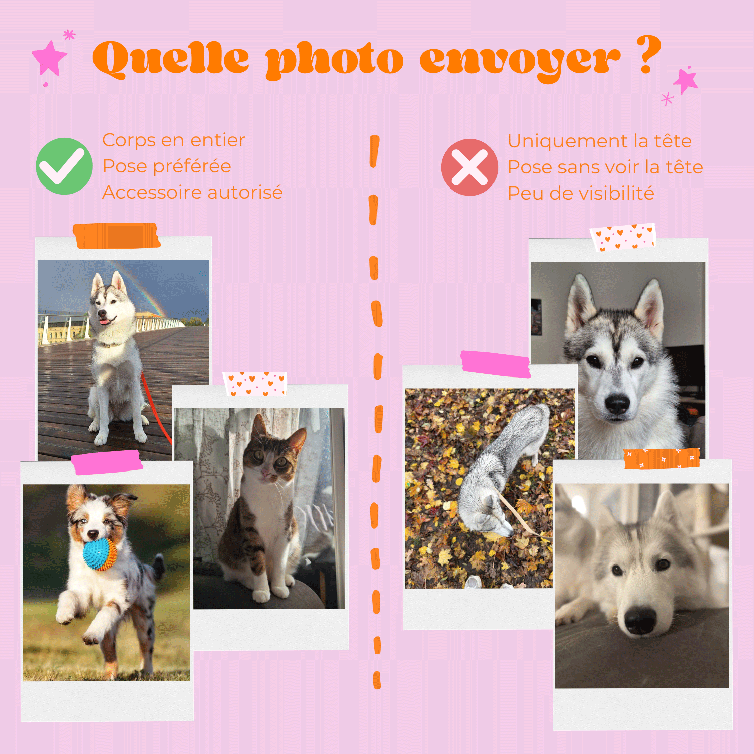 Conseils photo BeePop