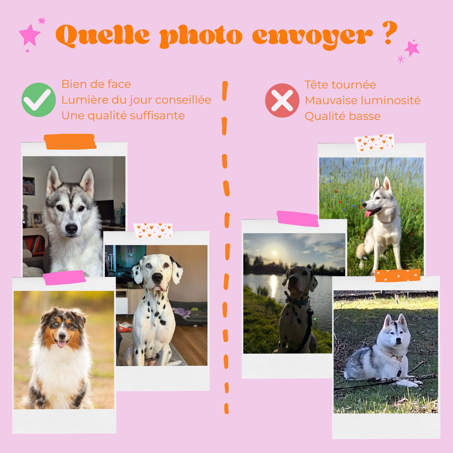 Exemple photo pour portrait BeeBrush