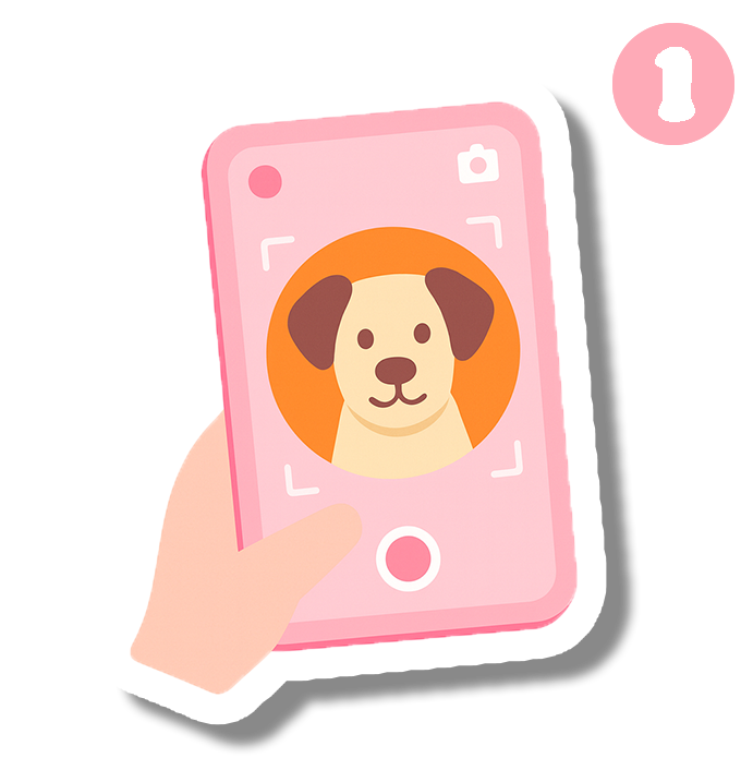 Photo du chien