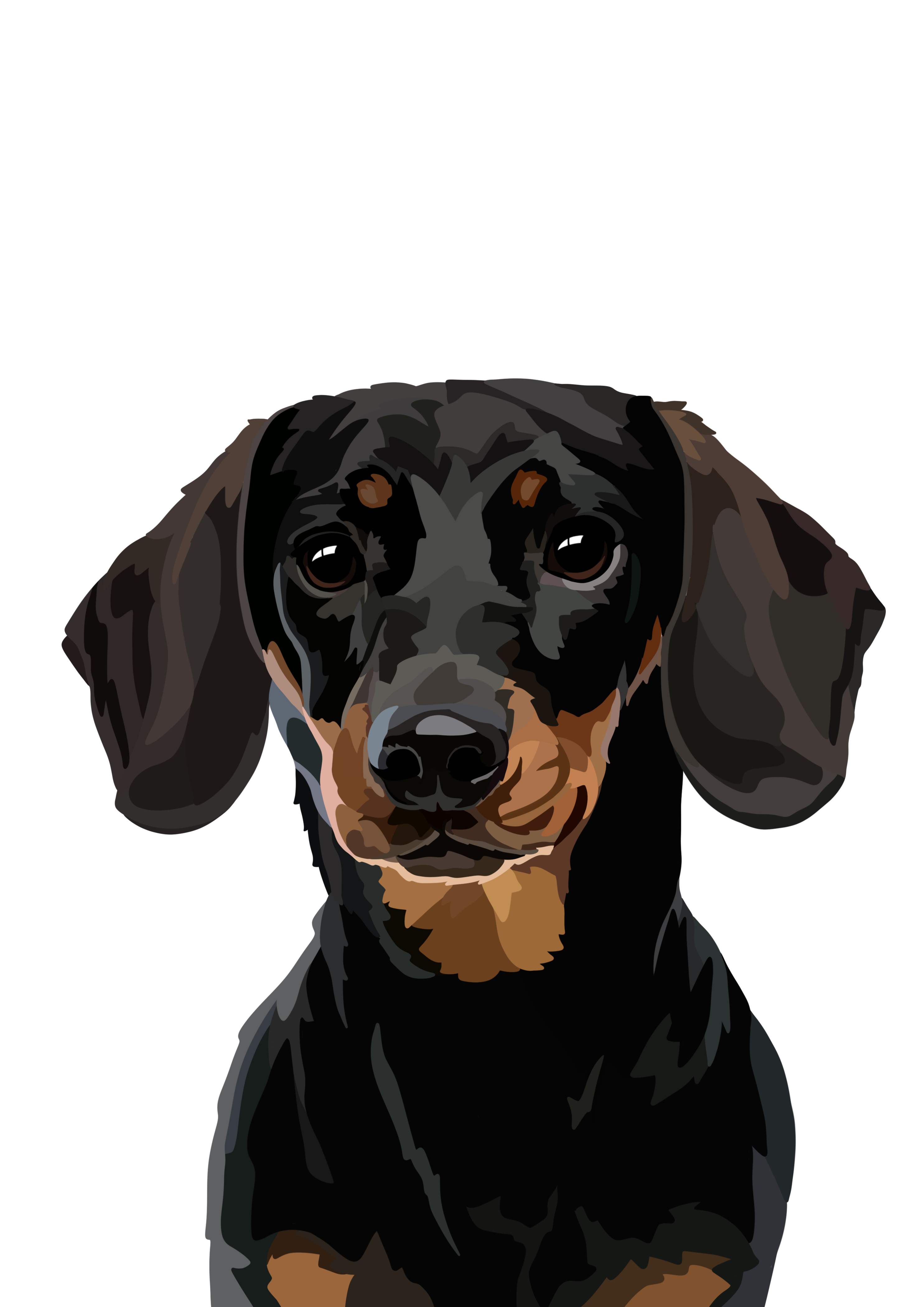 Affiche chien personnalisée BeeLoved - Teckel